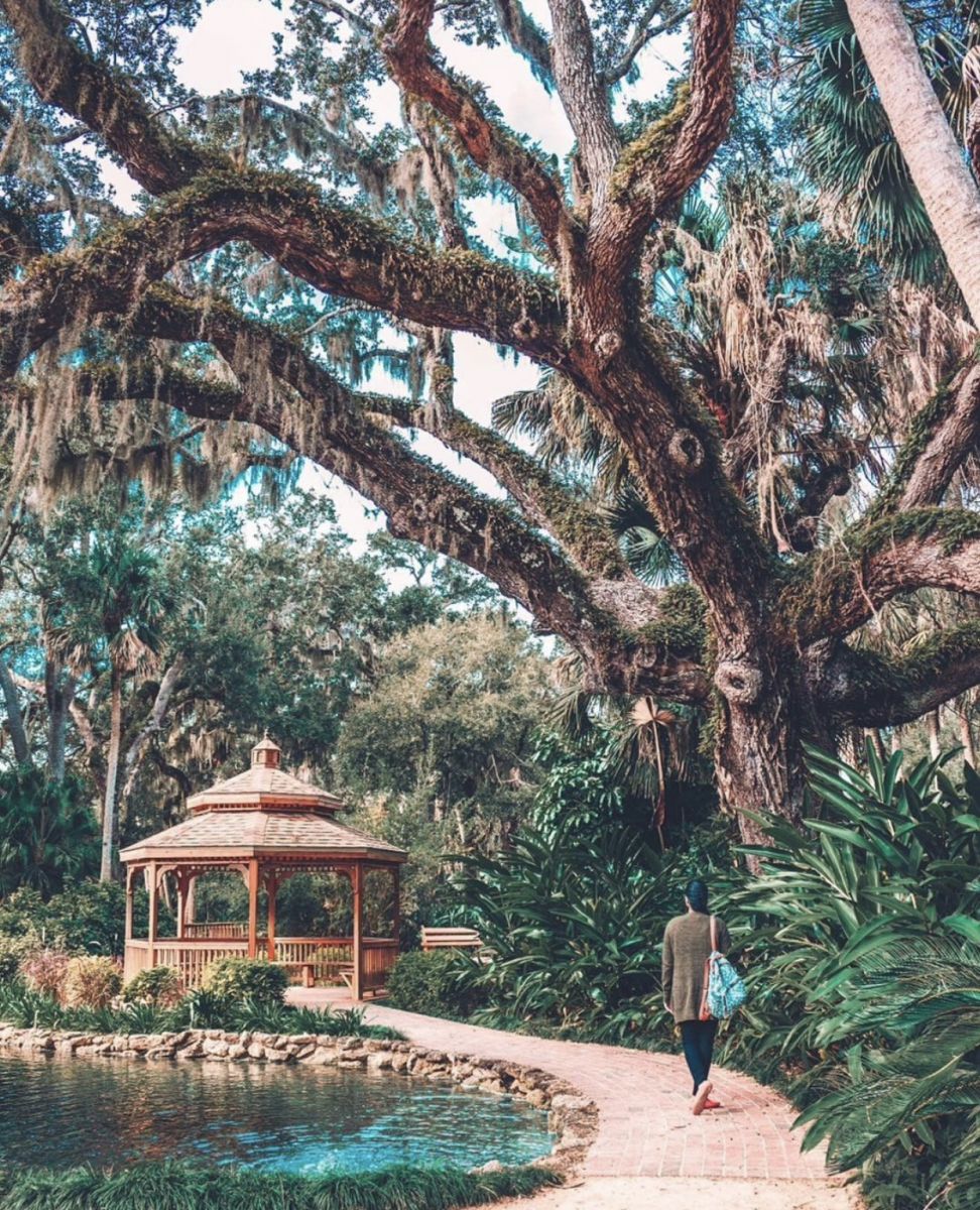 Explore Washington Oaks Gardens State Park